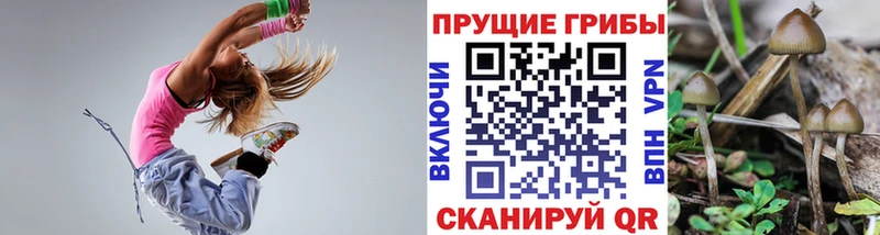 mega маркетплейс  где купить наркотик  Болхов  Галлюциногенные грибы MAGIC MUSHROOMS 